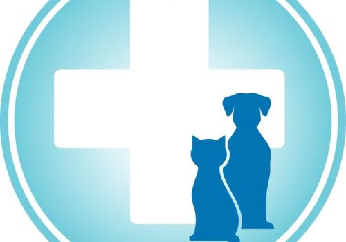 ВНИМАНИЕ! 12+