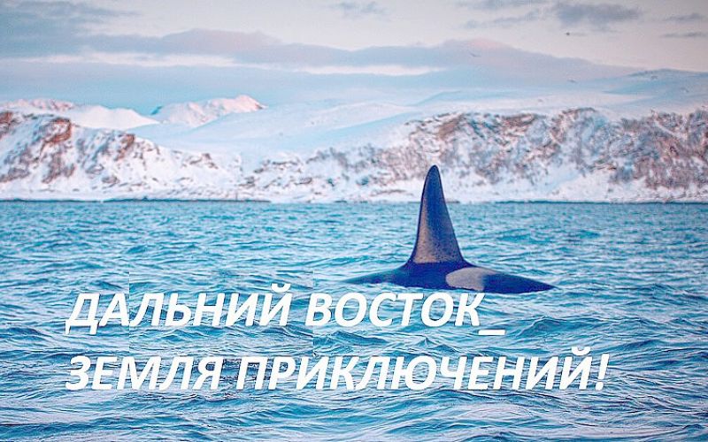 «ДАЛЬНИЙ ВОСТОК - ЗЕМЛЯ ПРИКЛЮЧЕНИЙ» 12+