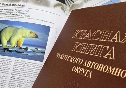 Магаданские исследователи помогли собрать сведения для новой Красной книги Чукотки