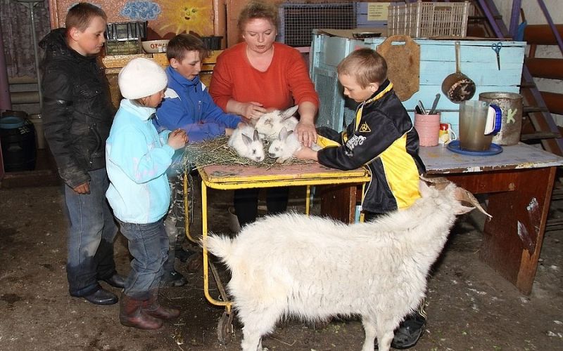 Единственное на Колыме объединение юных животноводов завершило летнюю смену