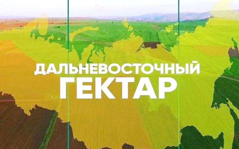 10 ЛЕТ ДАЛЬНЕВОСТОЧНОМУ ГЕКТАРУ 12+