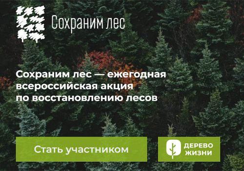 Колыма присоединилась к Всероссийскому проекту «Сохраним лес»
