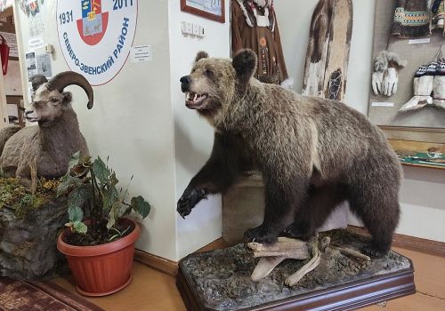 Краеведческий музей колымского Эвенска может переехать в здание районной библиотеки