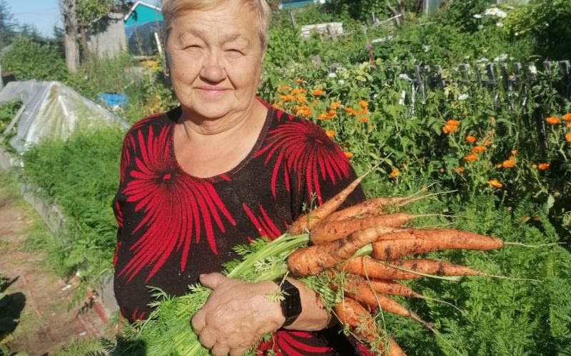 Магаданская дачница советует не выкапывать морковь до заморозков и делится другими советами для богатого урожая