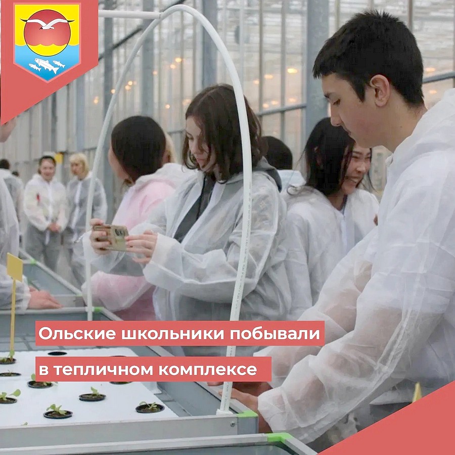 ТЕПЛИЦЫ ШКОЛЬНИКИ