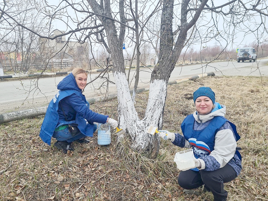 субботник ола 1